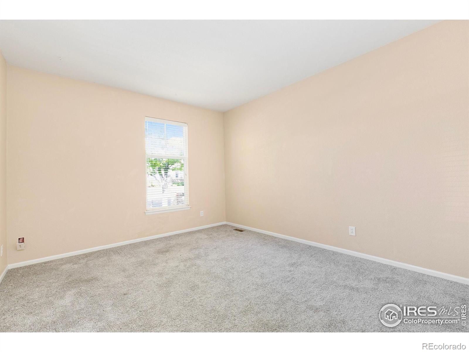 MLS Image #13 for 3180  springfield drive,loveland, Colorado