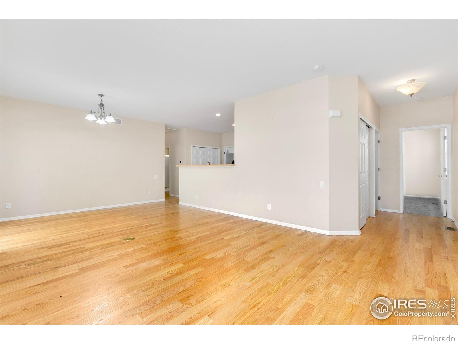MLS Image #3 for 3180  springfield drive,loveland, Colorado