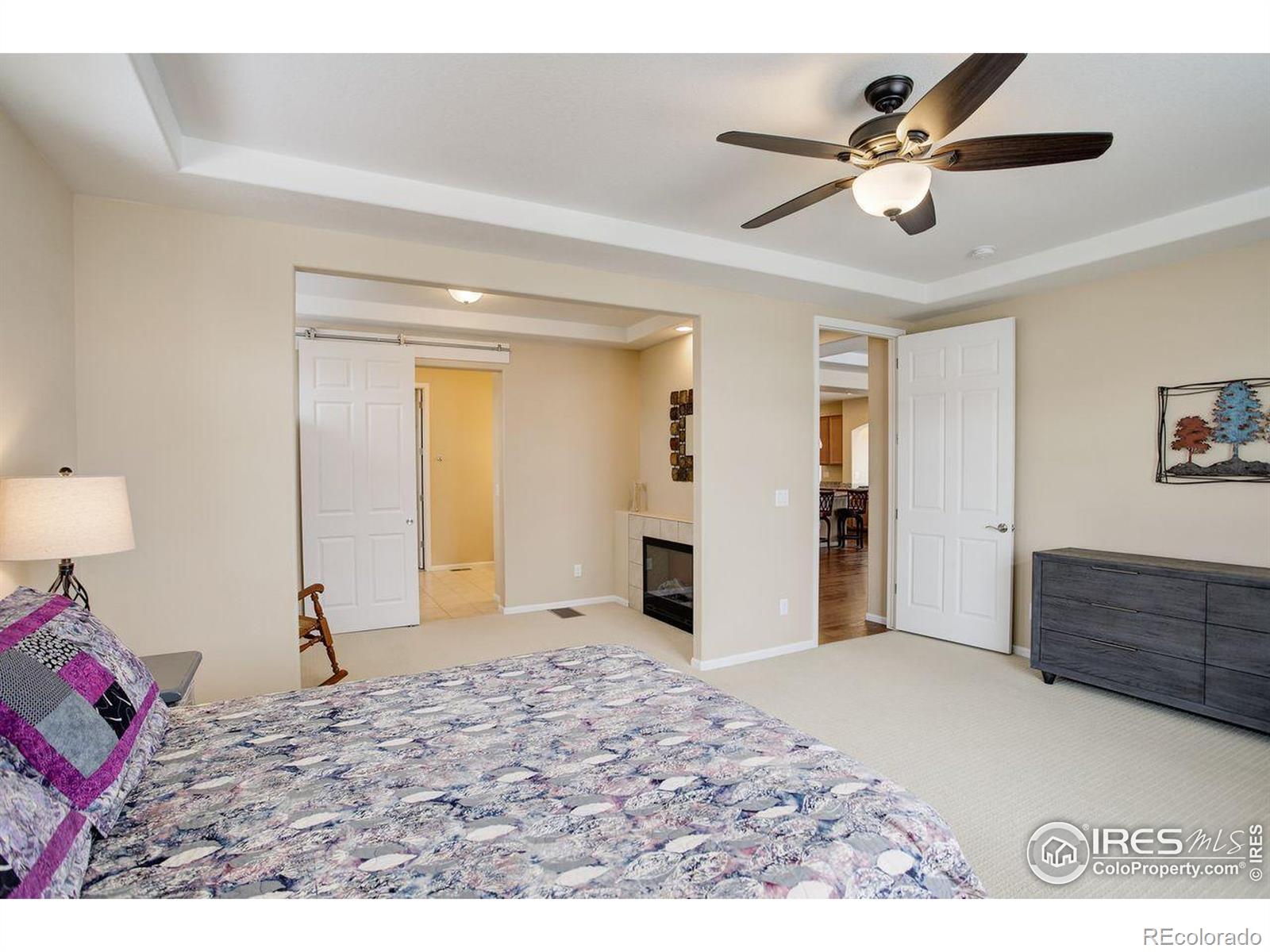 MLS Image #13 for 1060  arrowhead court,erie, Colorado