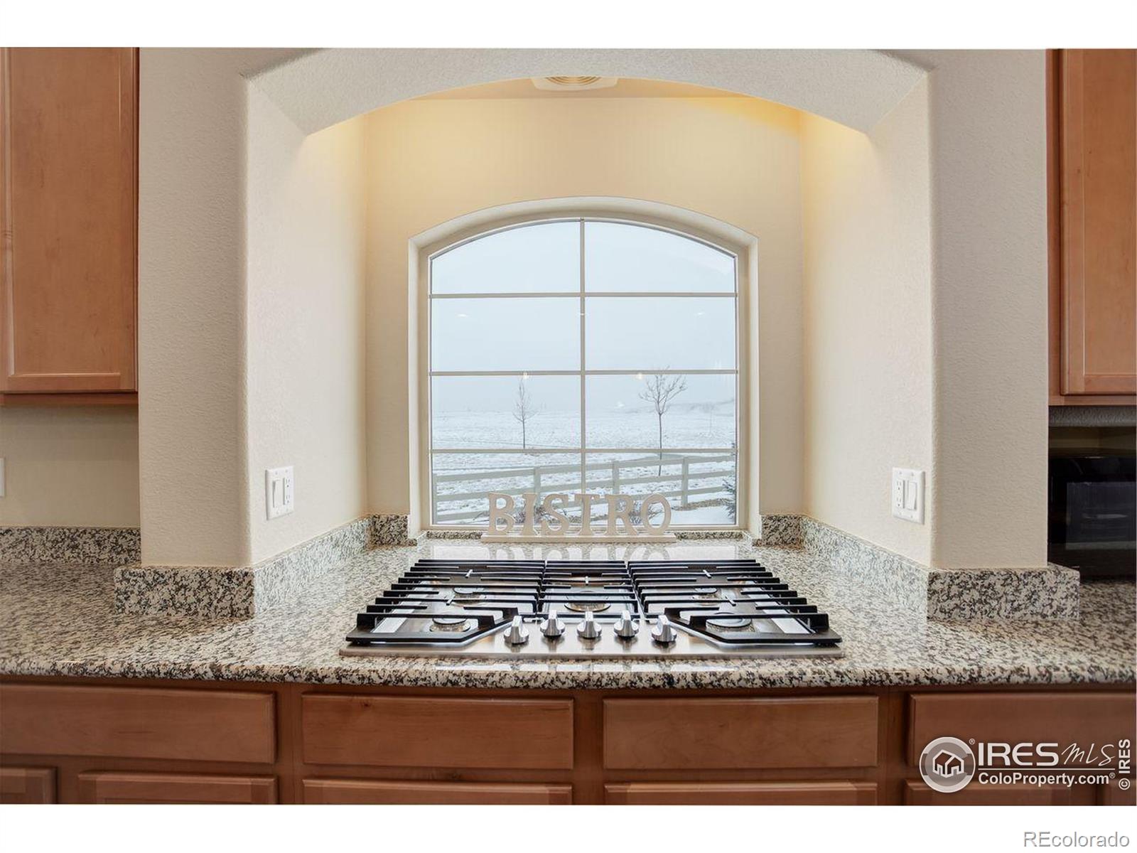 MLS Image #3 for 1060  arrowhead court,erie, Colorado