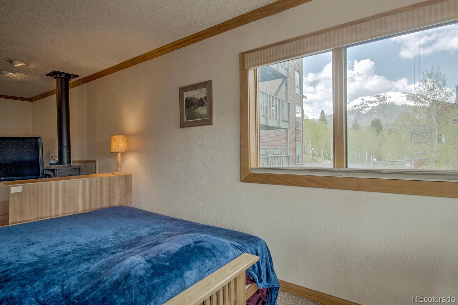 MLS Image #13 for 2710  ryan gulch road,silverthorne, Colorado