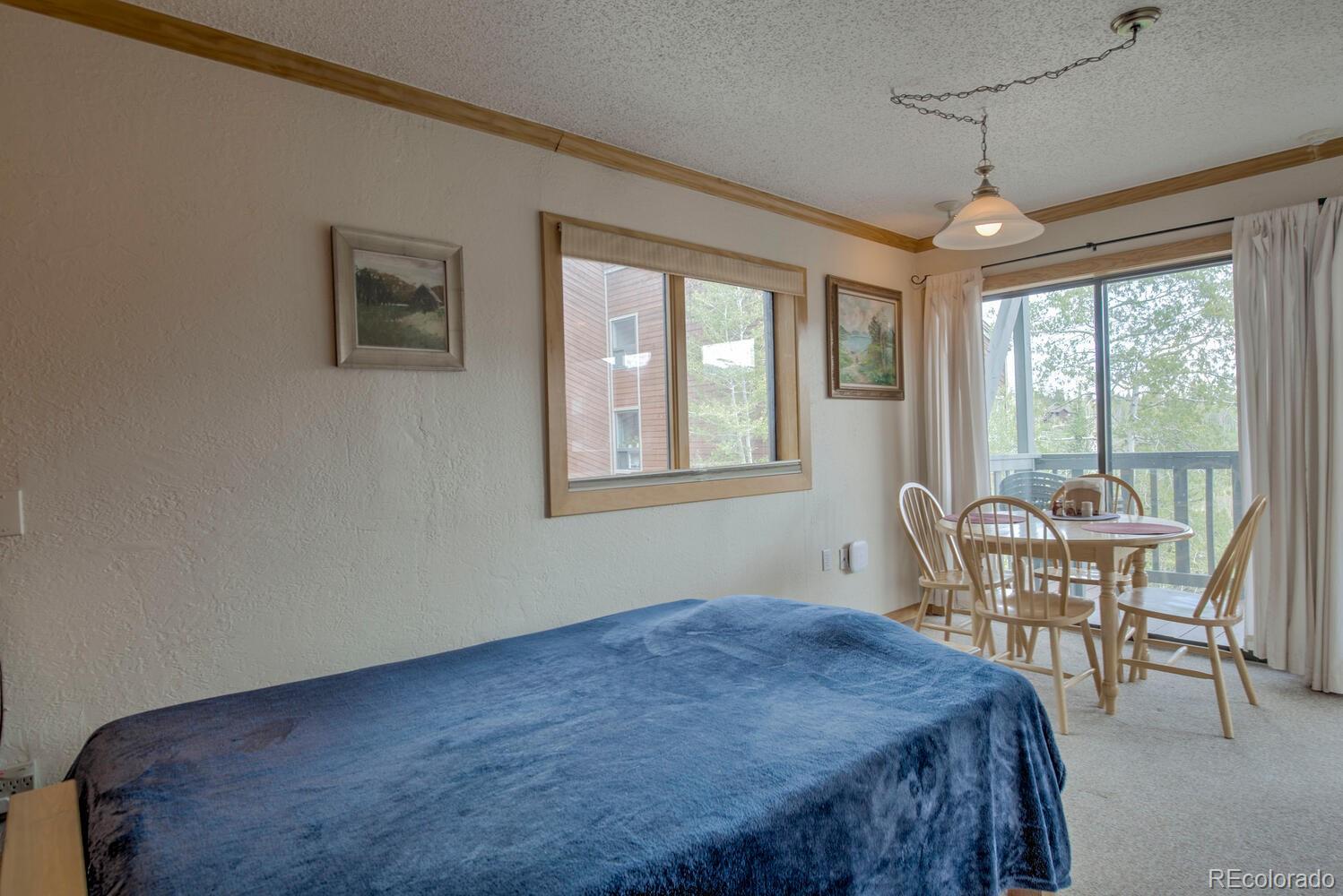 MLS Image #14 for 2710  ryan gulch road,silverthorne, Colorado