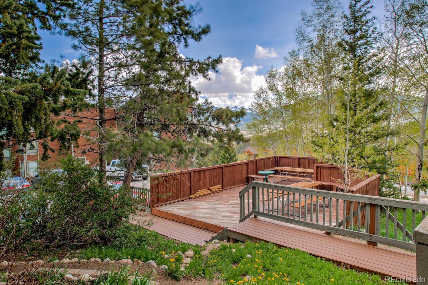 MLS Image #26 for 2710  ryan gulch road,silverthorne, Colorado