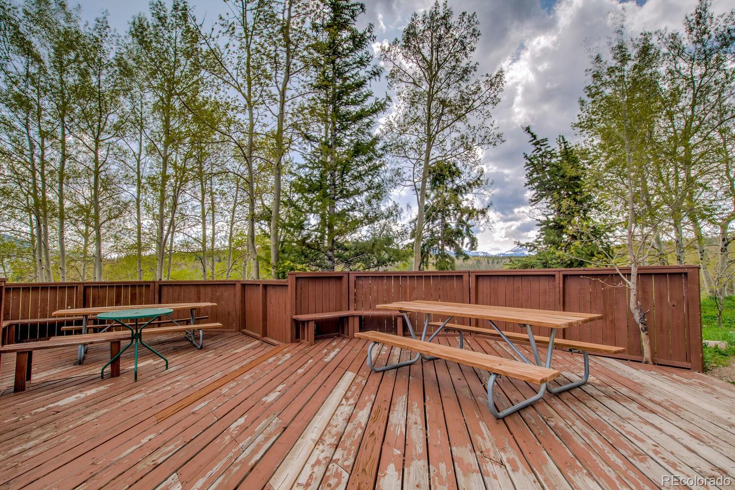 MLS Image #28 for 2710  ryan gulch road,silverthorne, Colorado