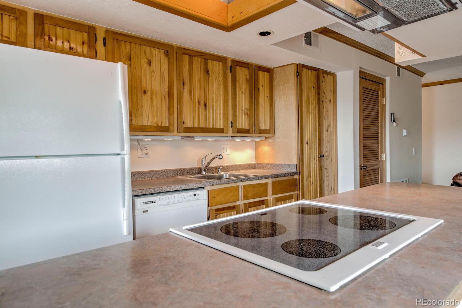 MLS Image #8 for 2710  ryan gulch road,silverthorne, Colorado