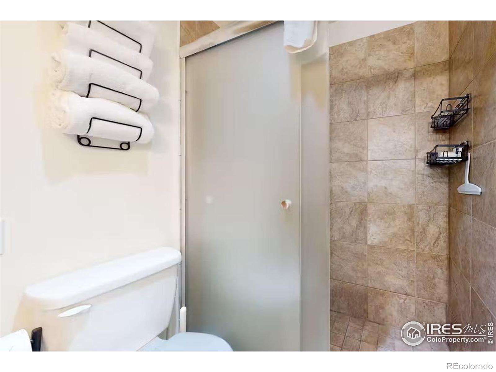 MLS Image #12 for 56  uneva place,frisco, Colorado