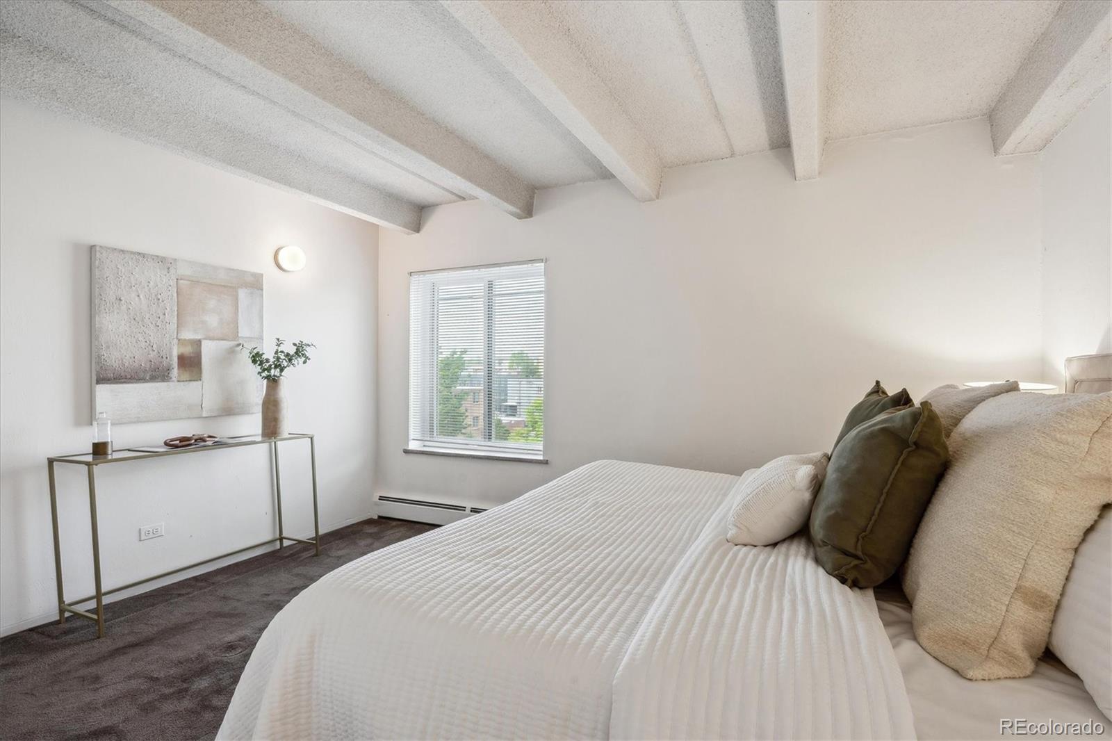 MLS Image #20 for 4801 e 9th avenue,denver, Colorado