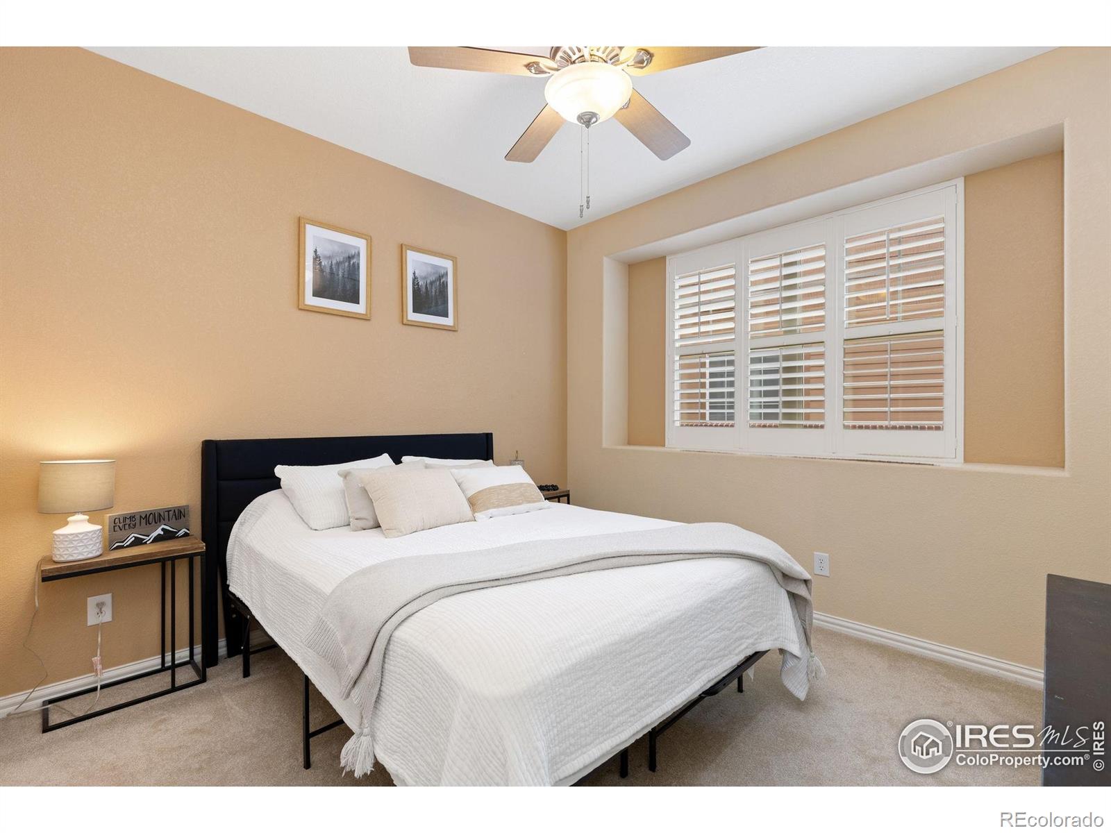 MLS Image #28 for 336  olympia avenue,longmont, Colorado