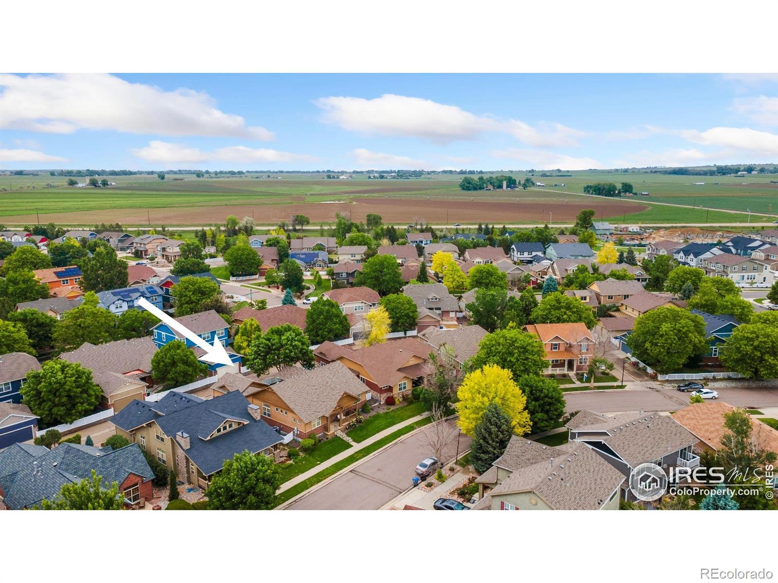 MLS Image #37 for 336  olympia avenue,longmont, Colorado