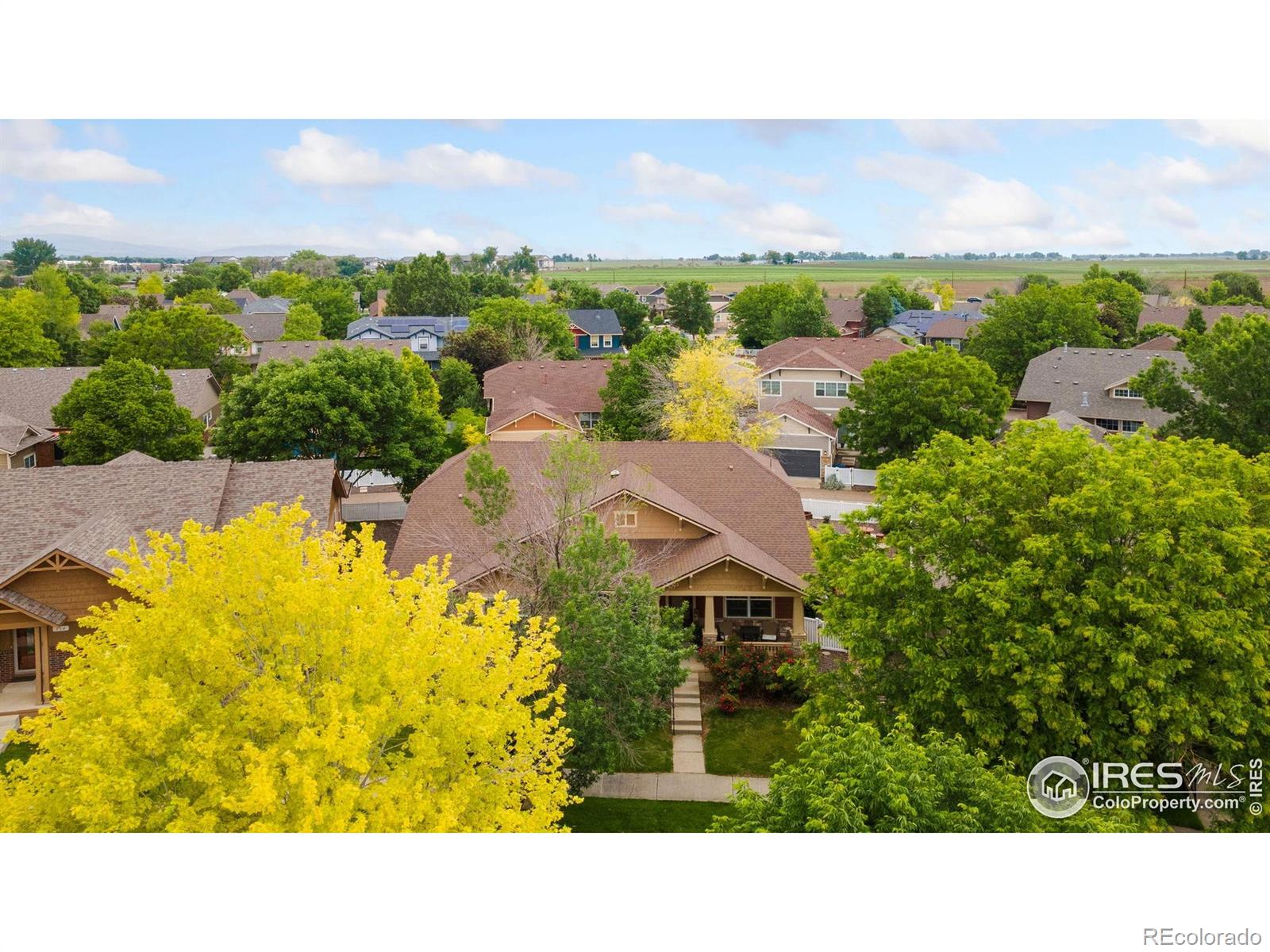 MLS Image #6 for 336  olympia avenue,longmont, Colorado