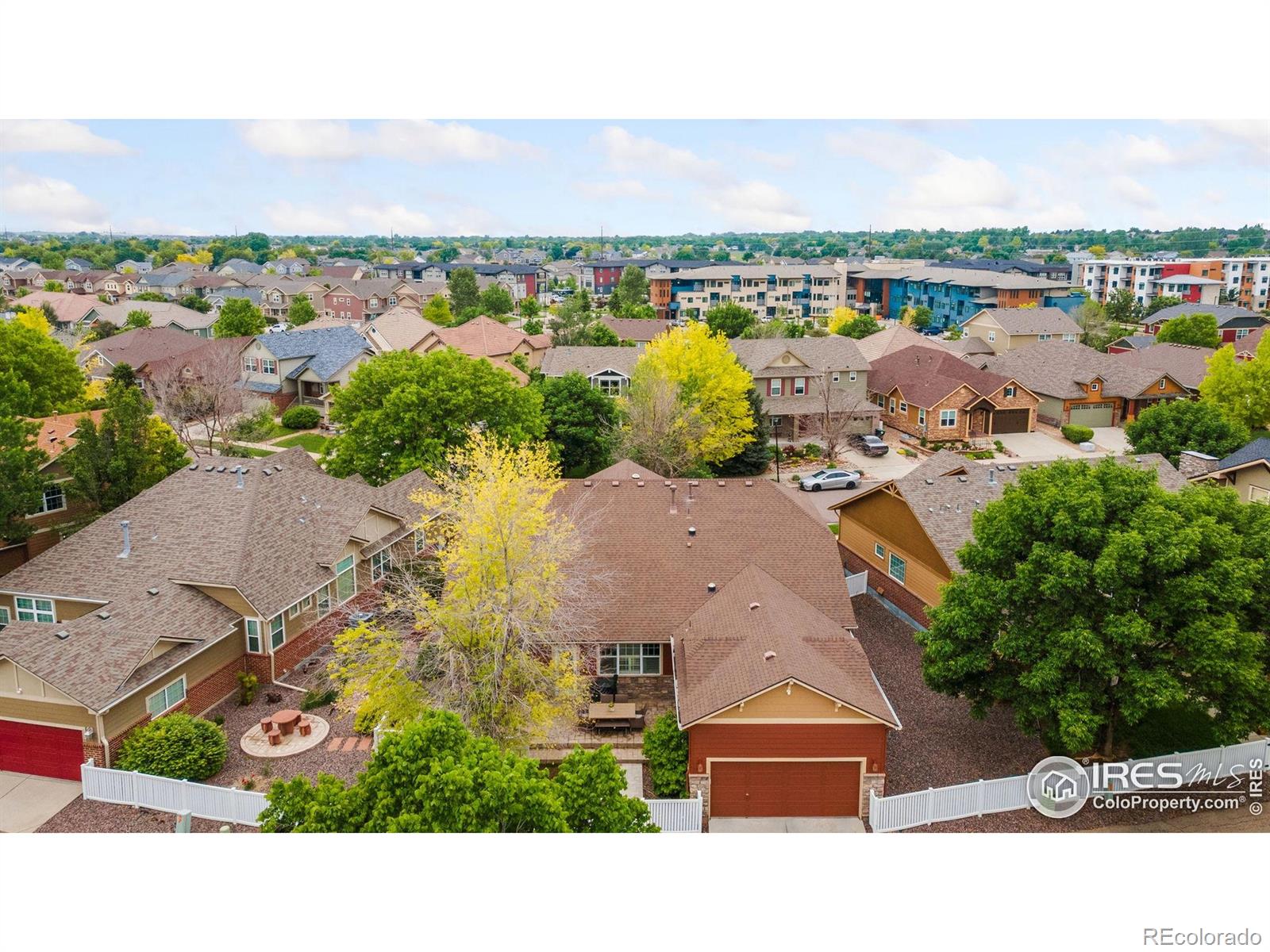 MLS Image #7 for 336  olympia avenue,longmont, Colorado