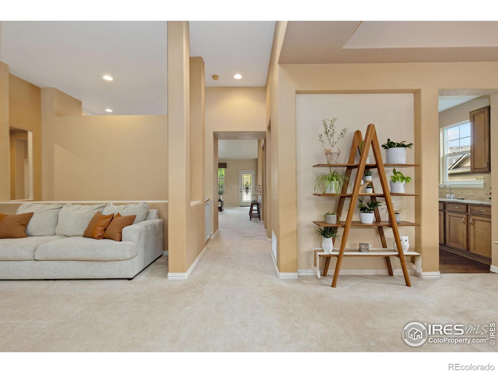 MLS Image #8 for 336  olympia avenue,longmont, Colorado