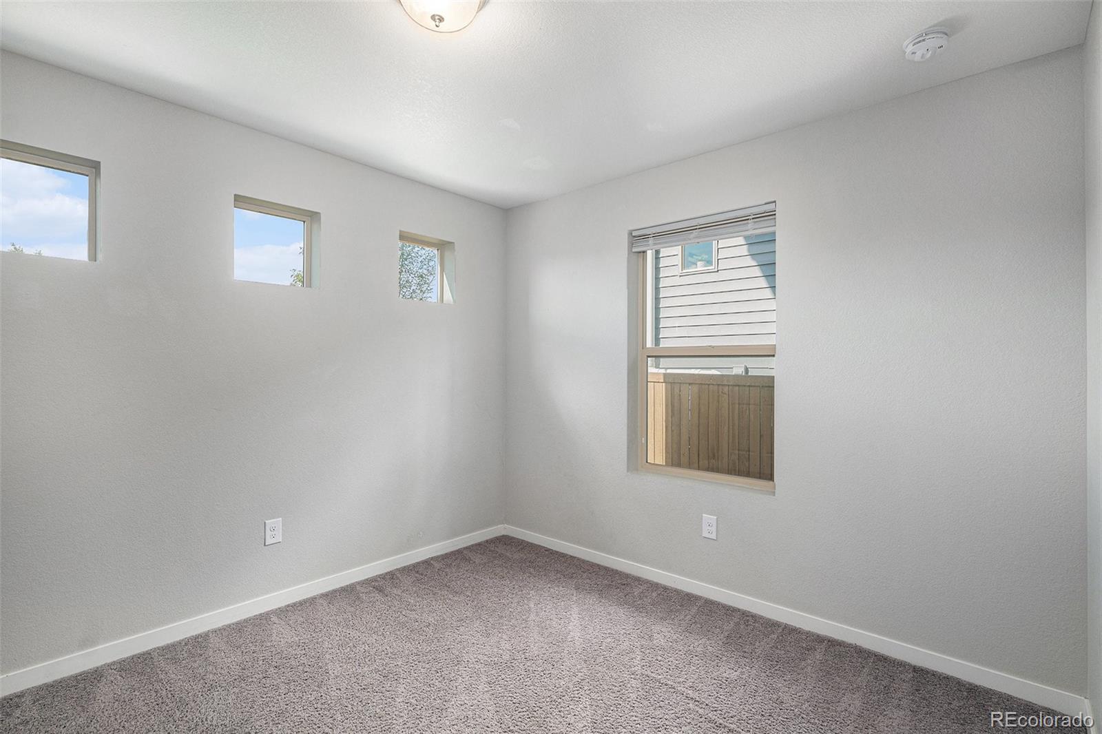 MLS Image #11 for 3116  jonquil street,castle rock, Colorado