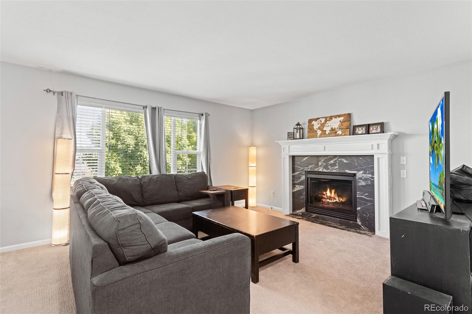 MLS Image #8 for 9294  melborne court,parker, Colorado