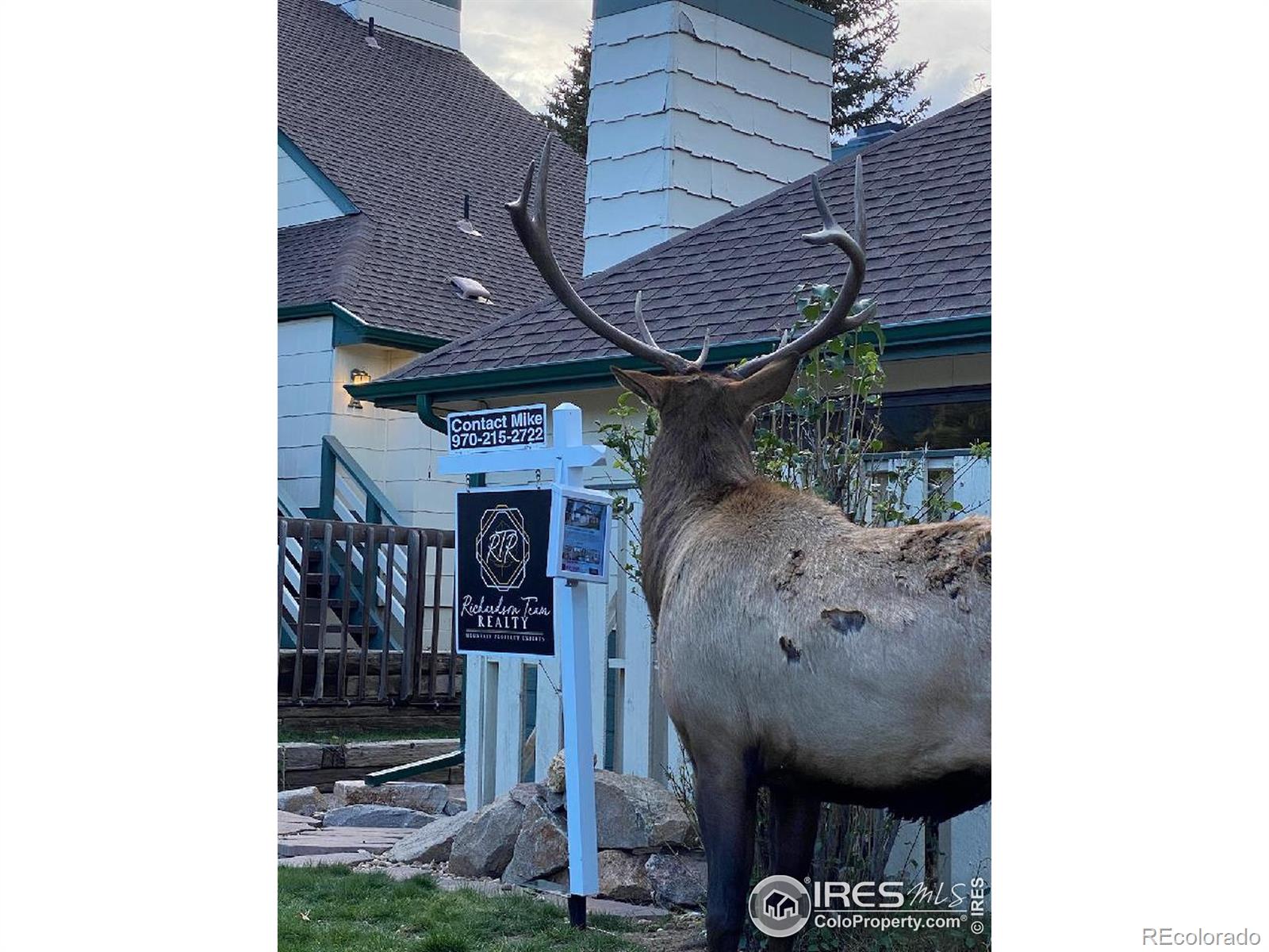MLS Image #19 for 1010 s saint vrain avenue,estes park, Colorado