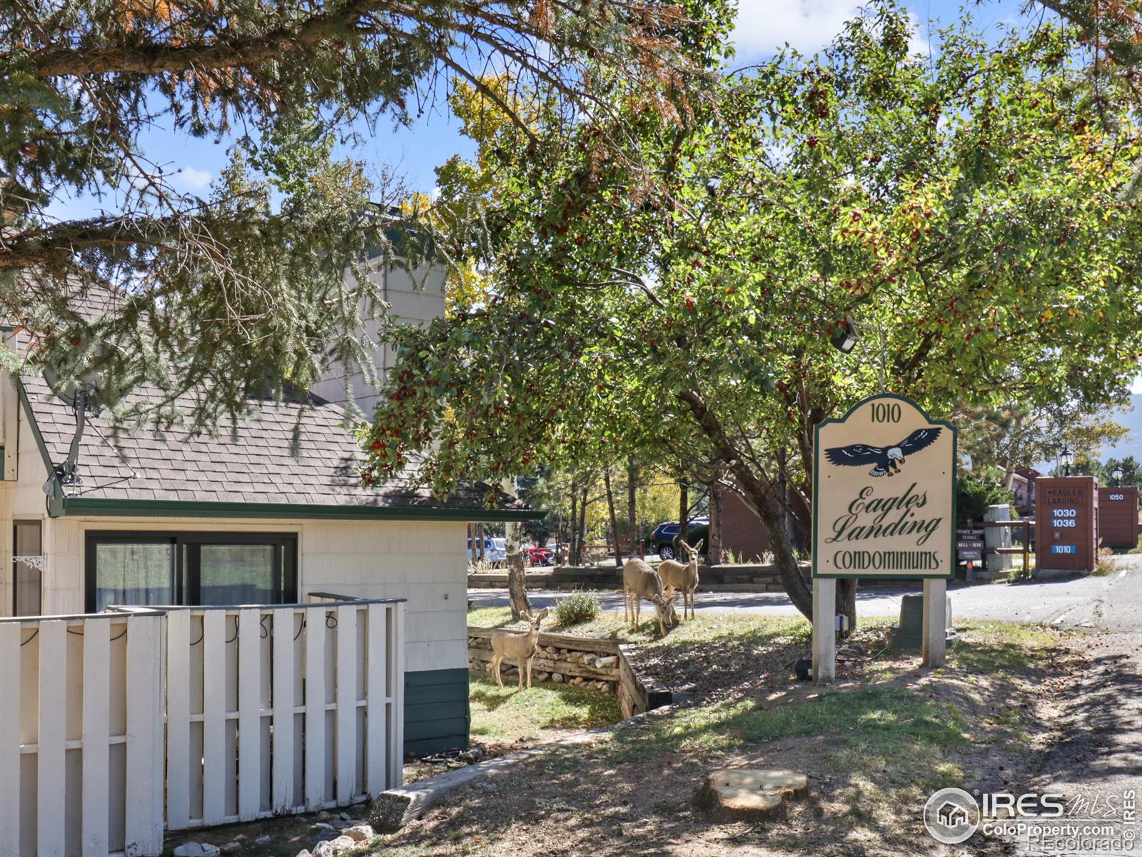 MLS Image #20 for 1010 s saint vrain avenue,estes park, Colorado