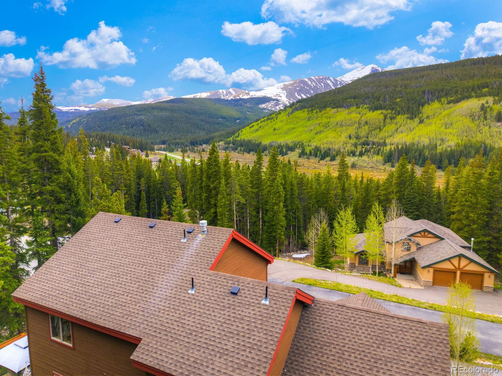 MLS Image #2 for 322  davis court,breckenridge, Colorado