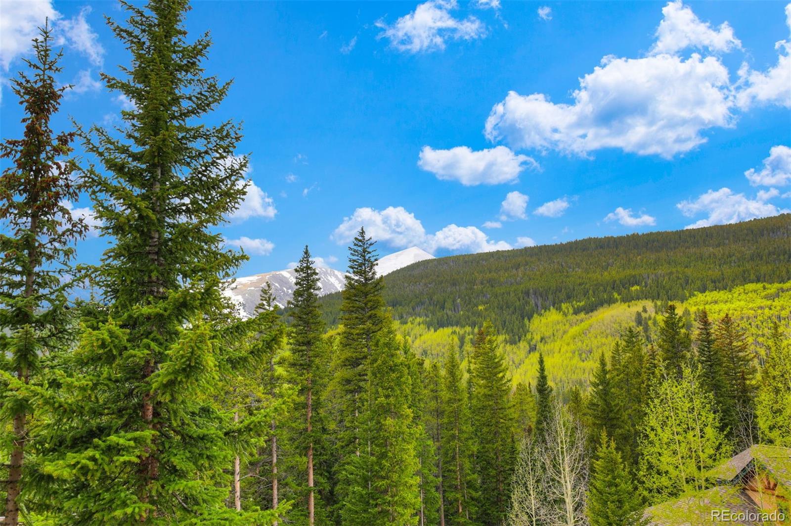 MLS Image #37 for 322  davis court,breckenridge, Colorado