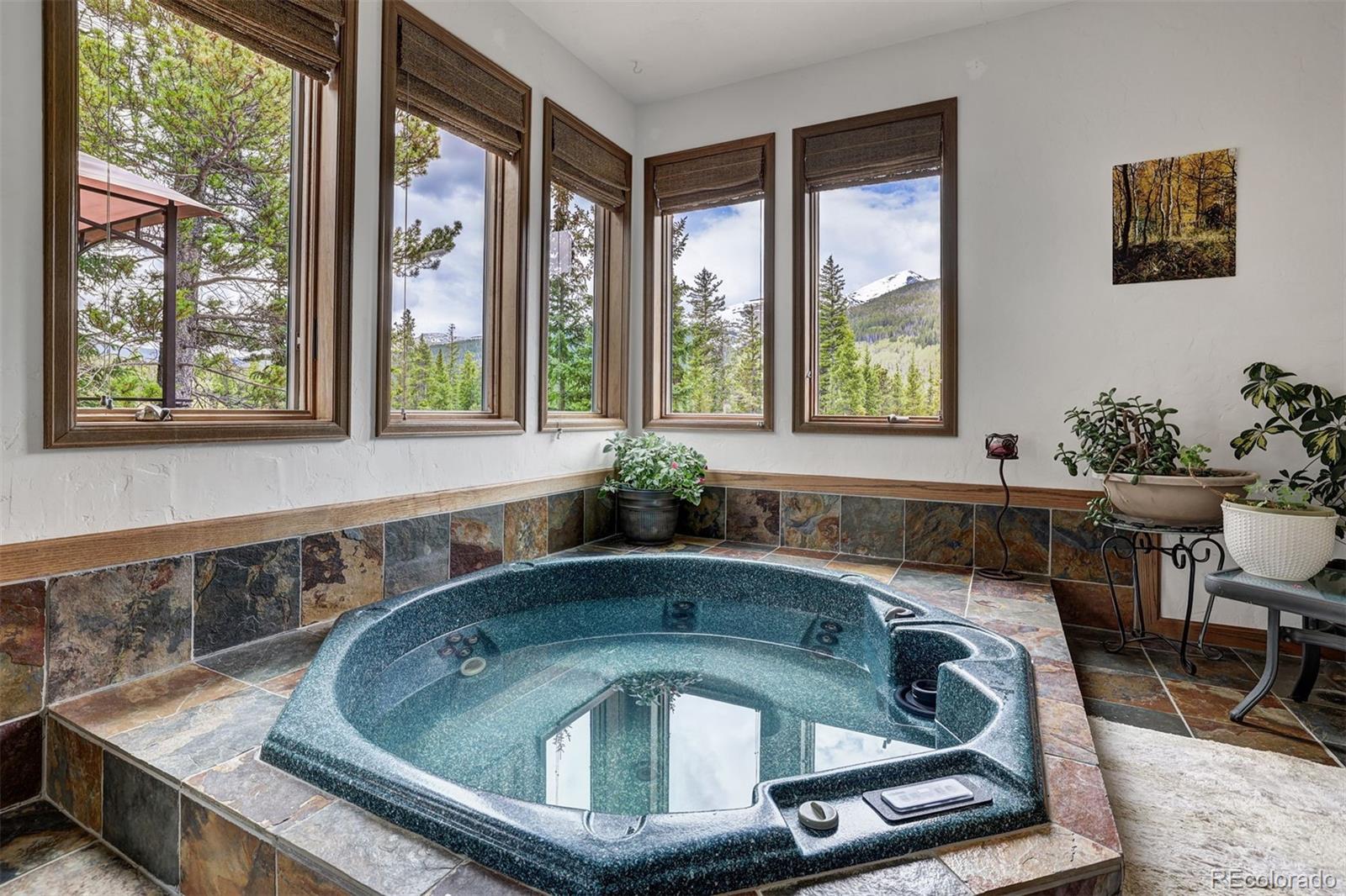 MLS Image #4 for 322  davis court,breckenridge, Colorado