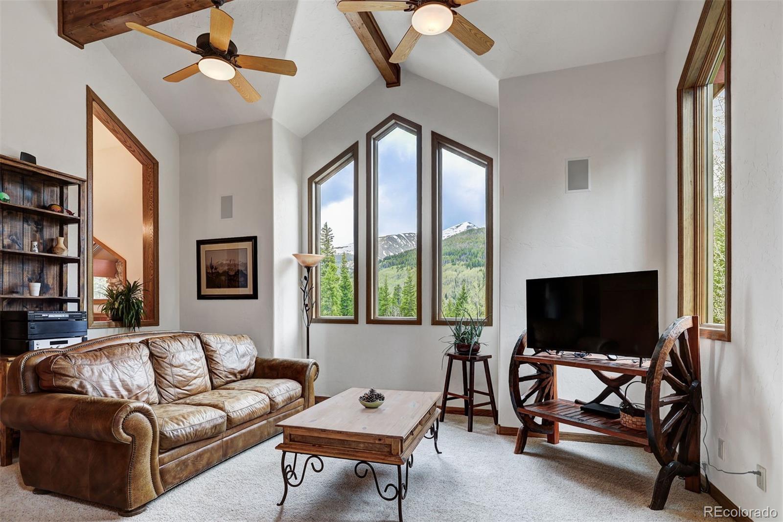 MLS Image #8 for 322  davis court,breckenridge, Colorado