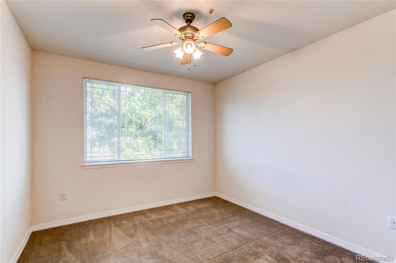 MLS Image #13 for 804  summer hawk drive,longmont, Colorado