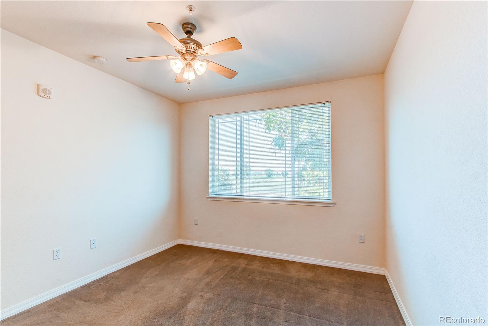 MLS Image #14 for 804  summer hawk drive,longmont, Colorado