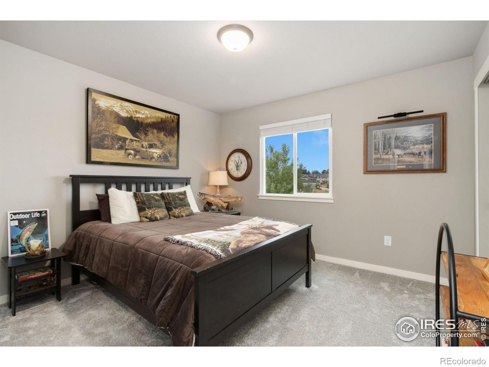 MLS Image #12 for 6757  sage meadows drive,wellington, Colorado