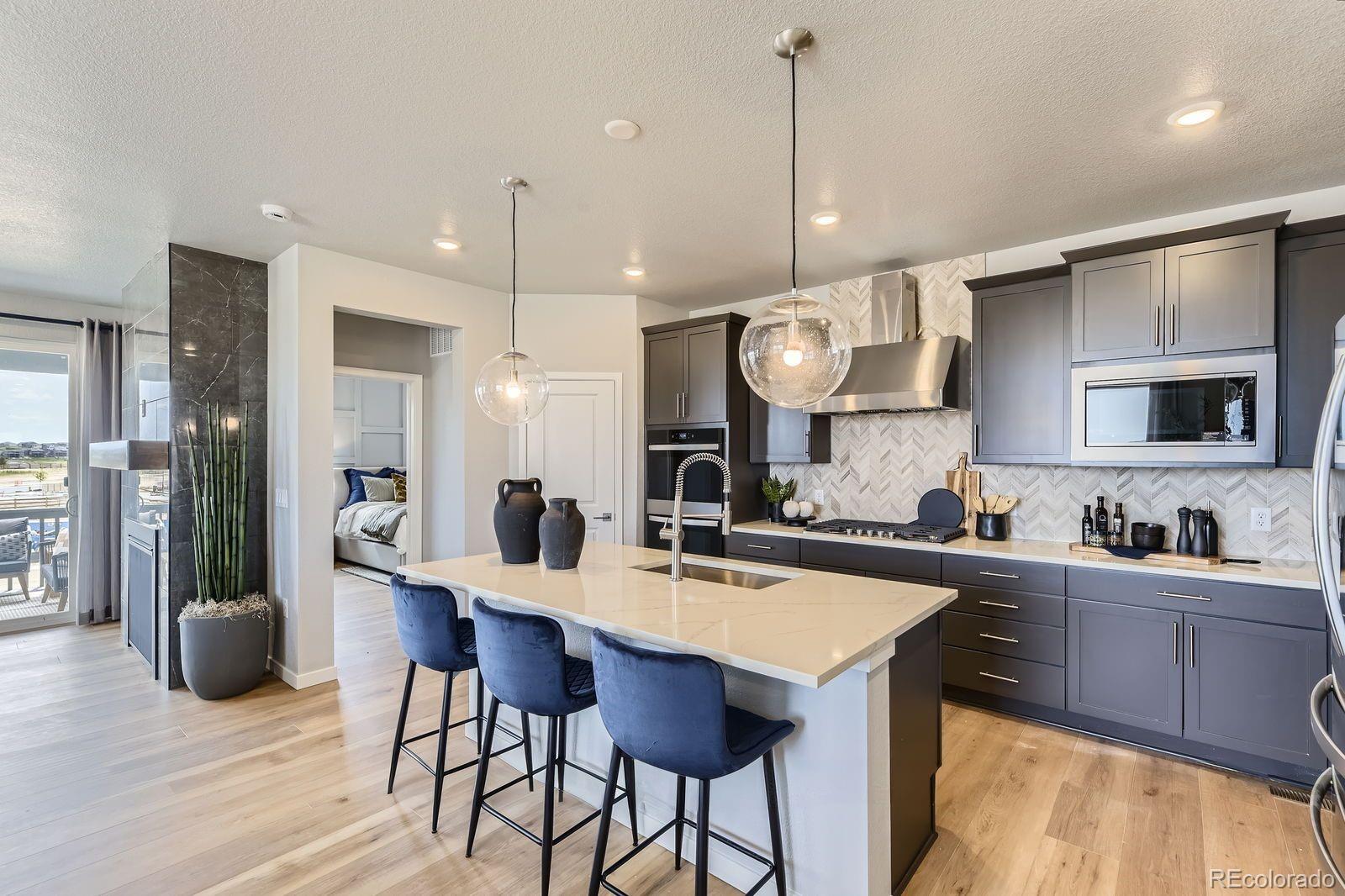 MLS Image #4 for 13812  honey hush trail,parker, Colorado