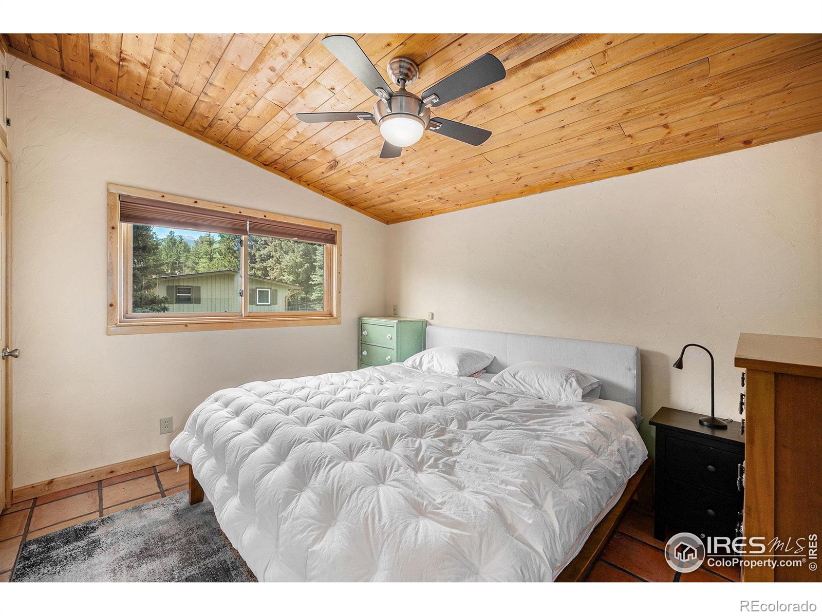 MLS Image #11 for 1250 s saint vrain avenue,estes park, Colorado