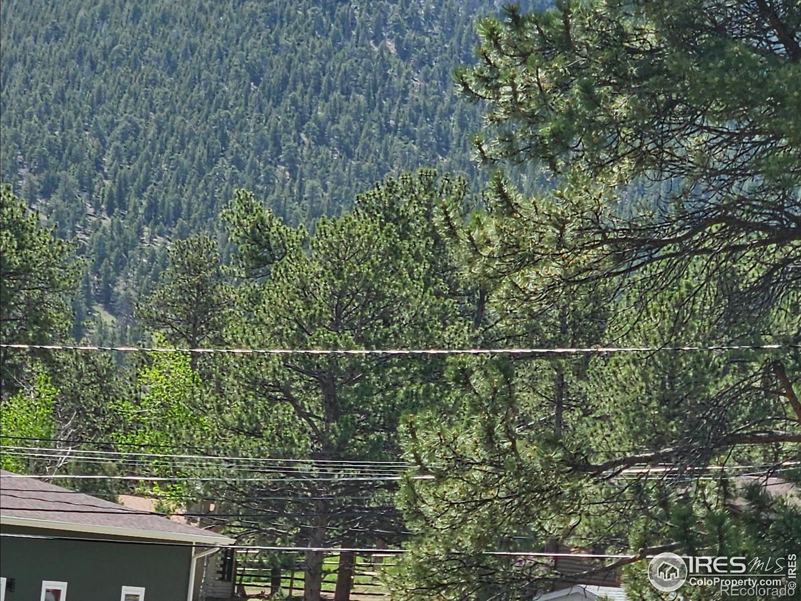 MLS Image #15 for 1250 s saint vrain avenue,estes park, Colorado
