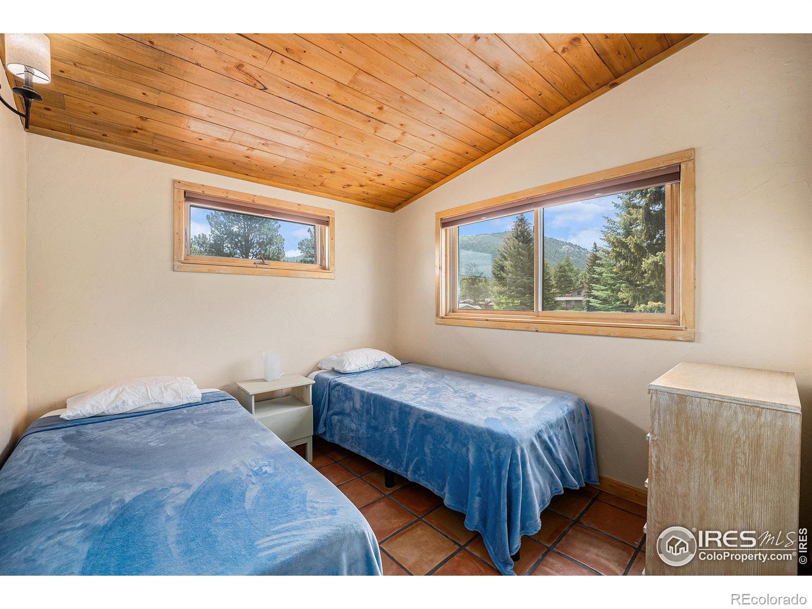 MLS Image #8 for 1250 s saint vrain avenue,estes park, Colorado