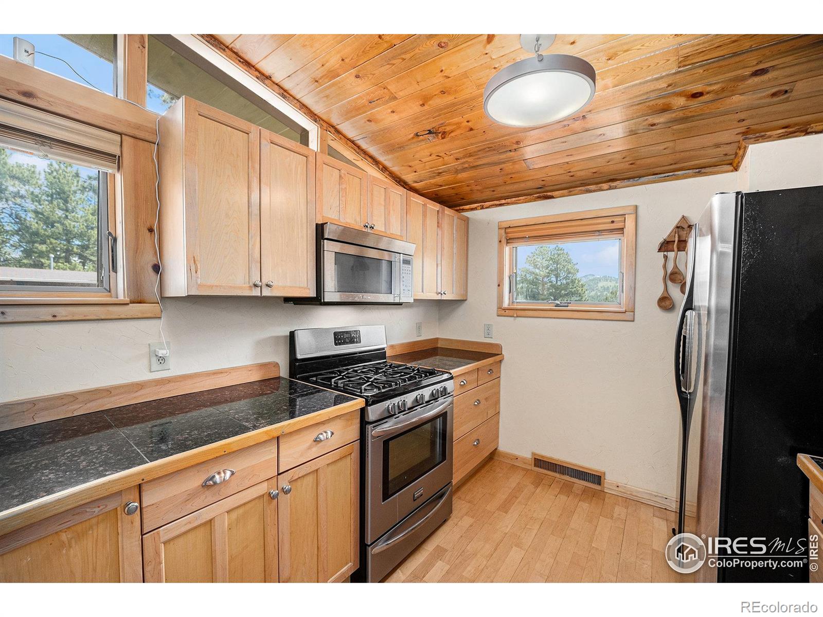 MLS Image #9 for 1250 s saint vrain avenue,estes park, Colorado