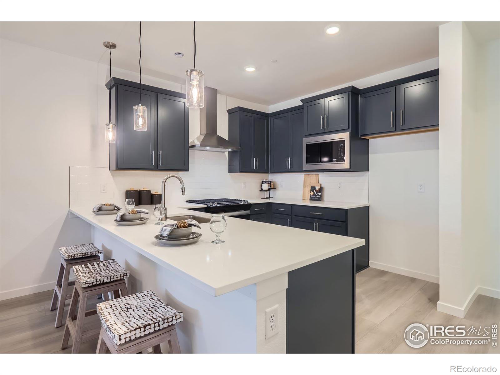 MLS Image #11 for 2738  bear springs circle,longmont, Colorado
