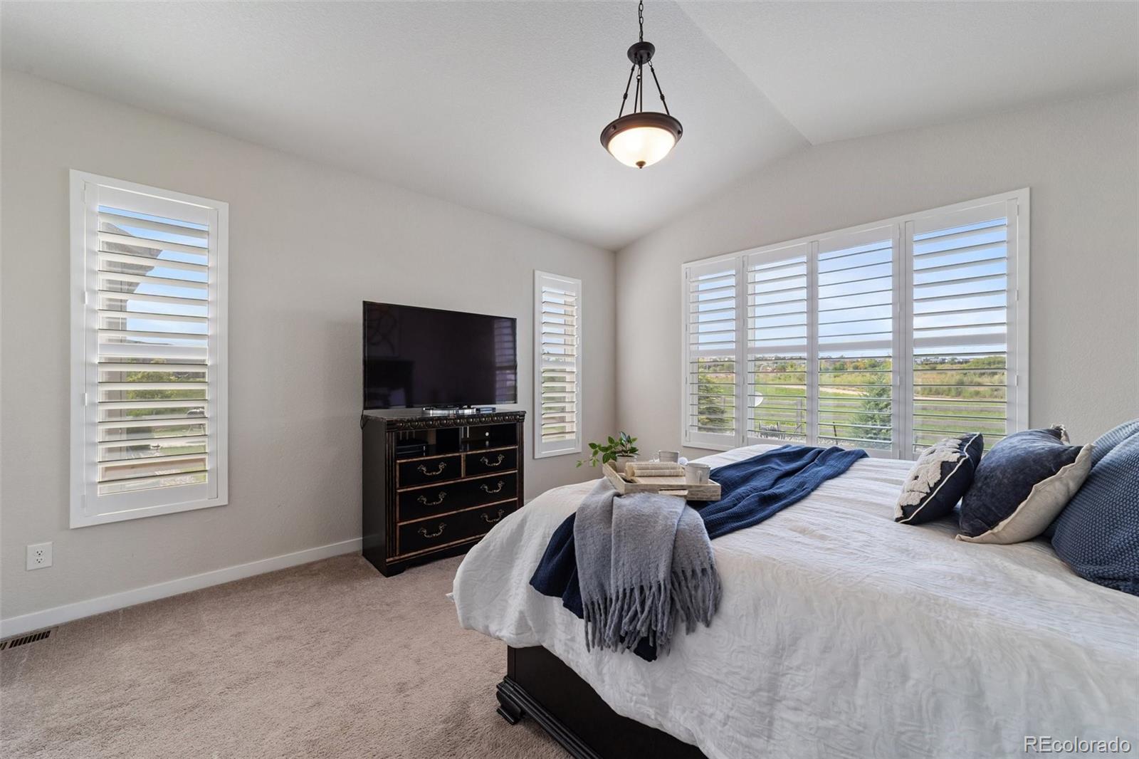 MLS Image #21 for 6320  verrado place,colorado springs, Colorado