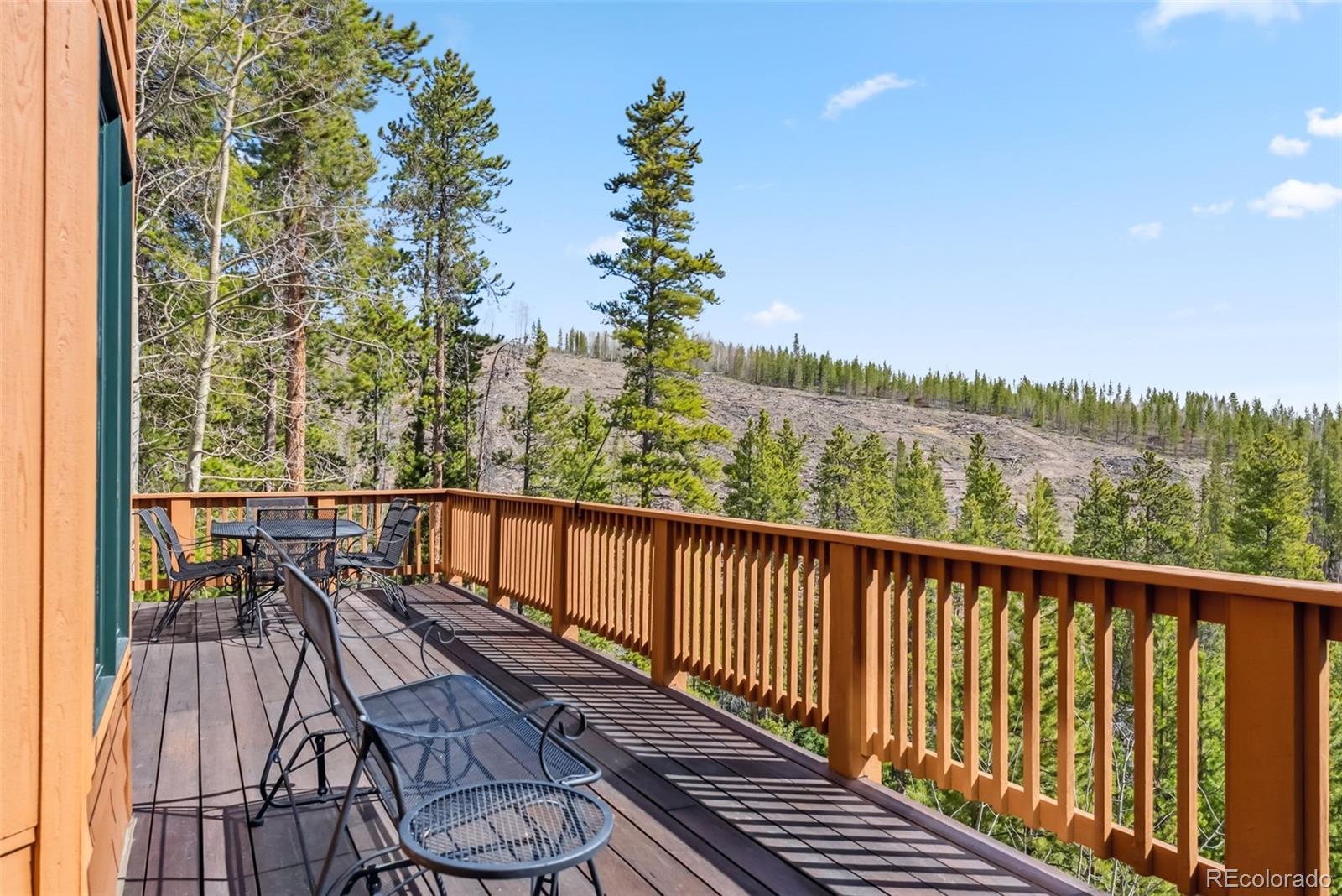 MLS Image #11 for 278  snowshoe circle,breckenridge, Colorado