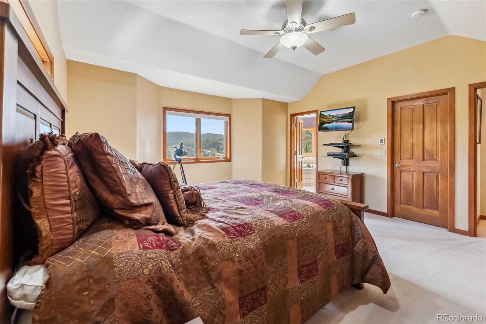 MLS Image #19 for 278  snowshoe circle,breckenridge, Colorado