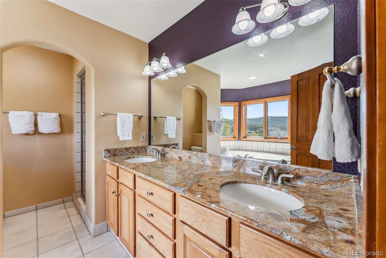 MLS Image #21 for 278  snowshoe circle,breckenridge, Colorado