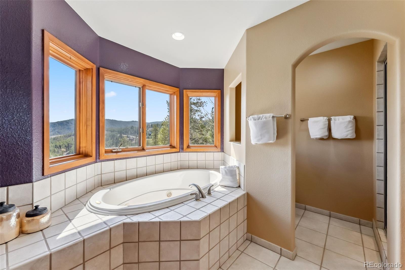 MLS Image #22 for 278  snowshoe circle,breckenridge, Colorado
