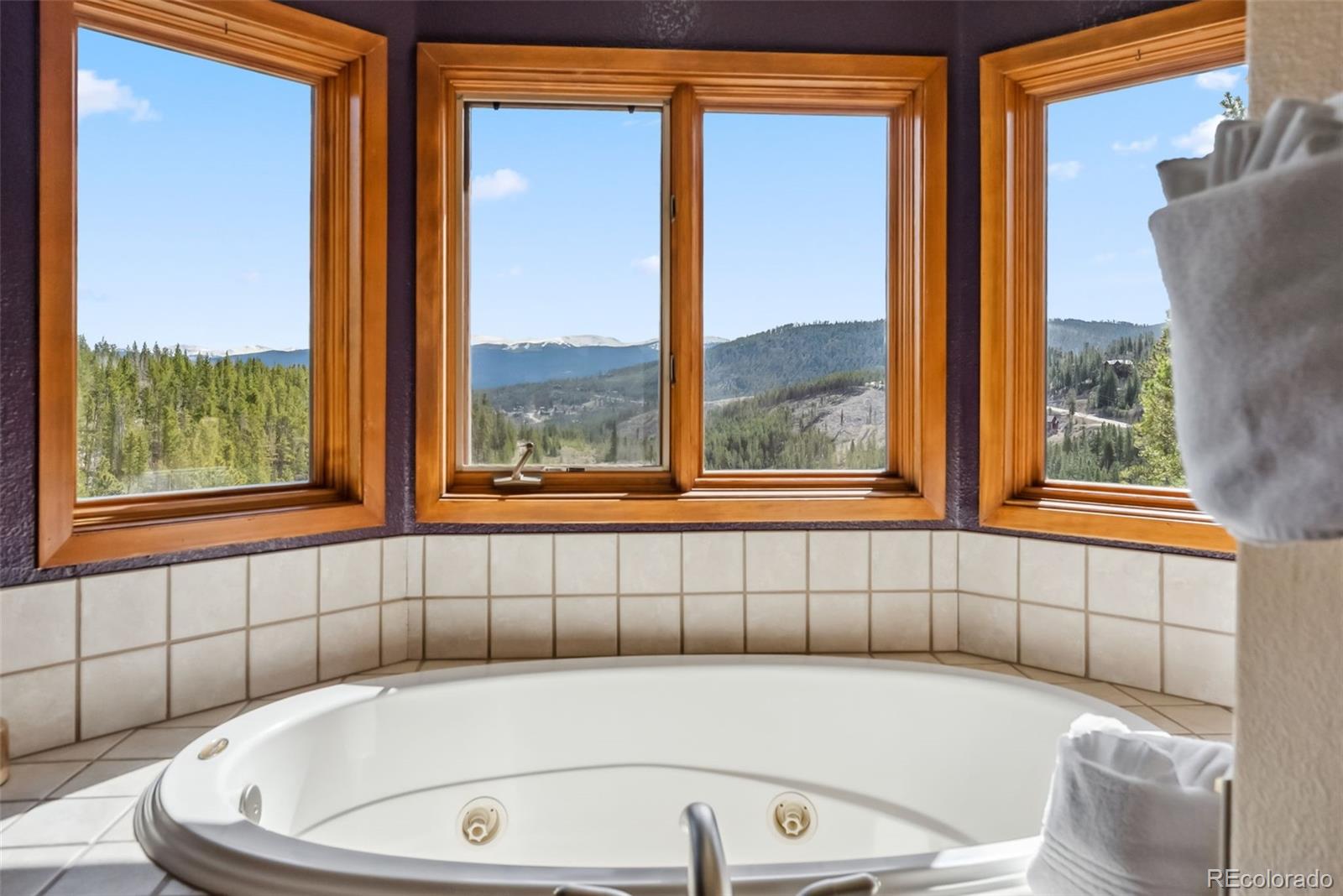 MLS Image #23 for 278  snowshoe circle,breckenridge, Colorado
