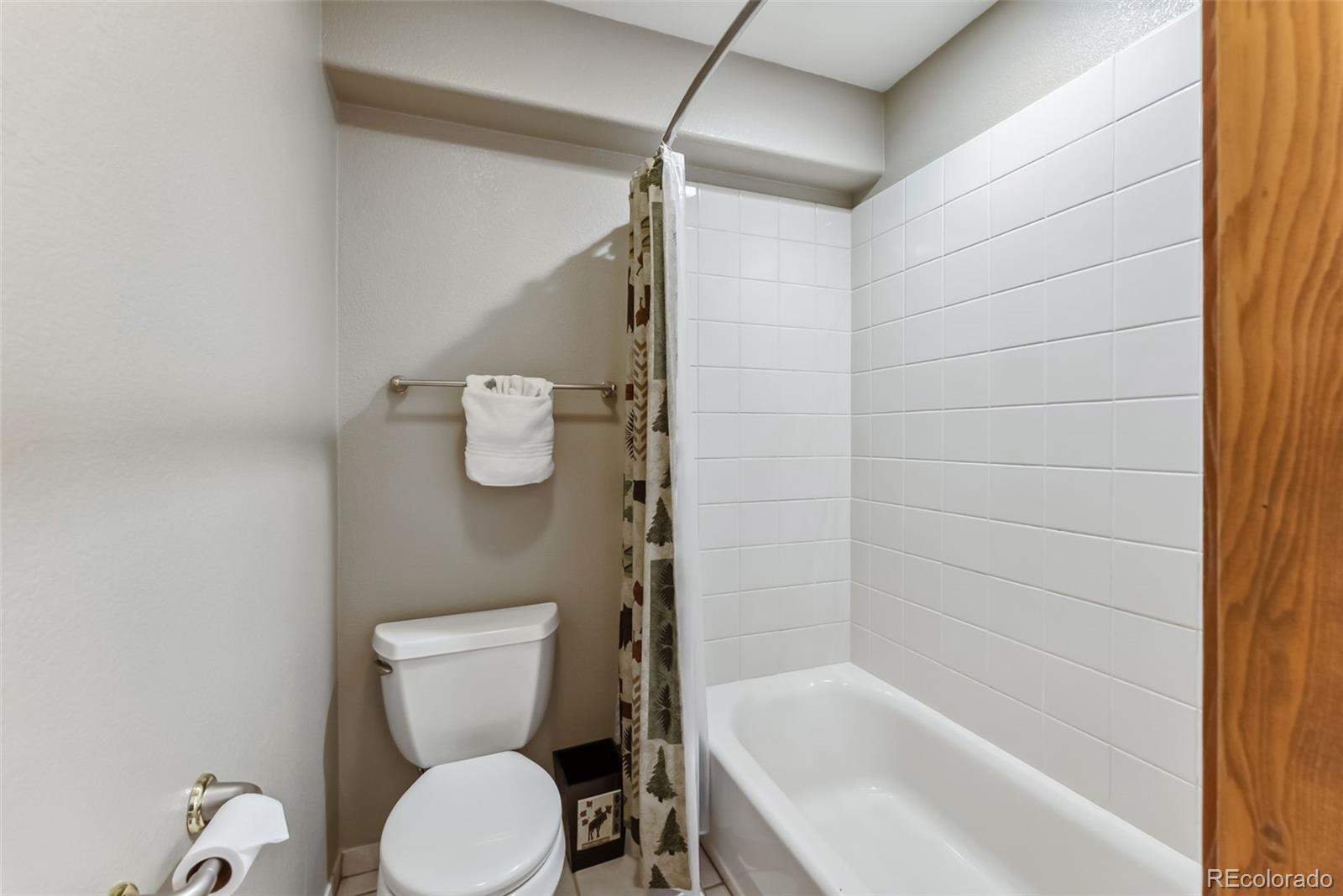 MLS Image #26 for 278  snowshoe circle,breckenridge, Colorado