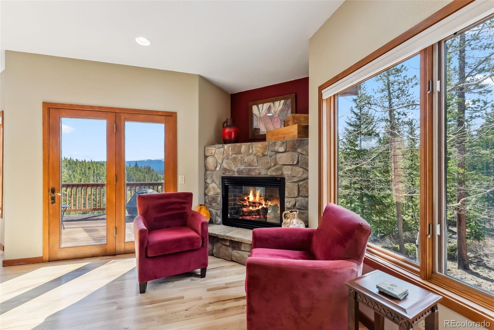 MLS Image #9 for 278  snowshoe circle,breckenridge, Colorado
