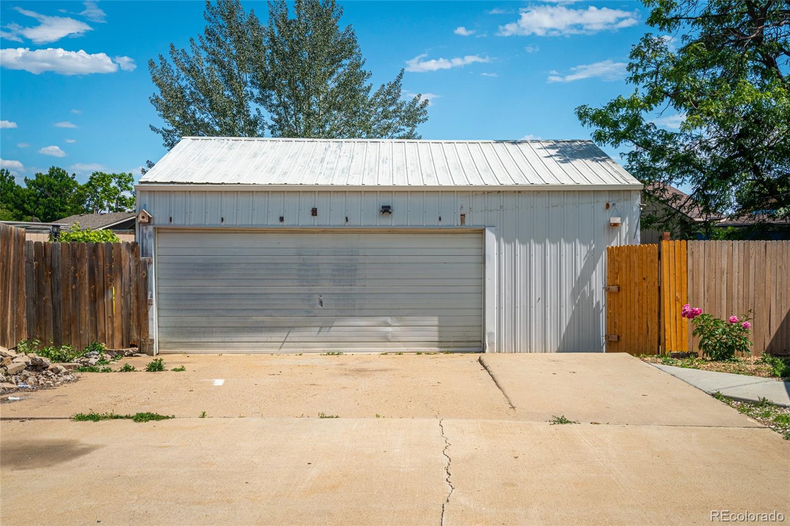 MLS Image #14 for 916  glen heather court,dacono, Colorado