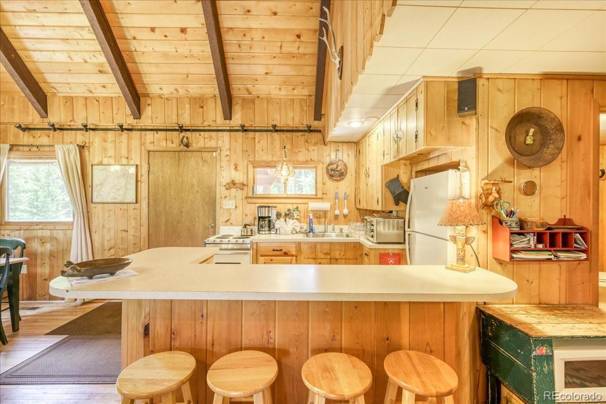 MLS Image #15 for 29  gregory circle,breckenridge, Colorado