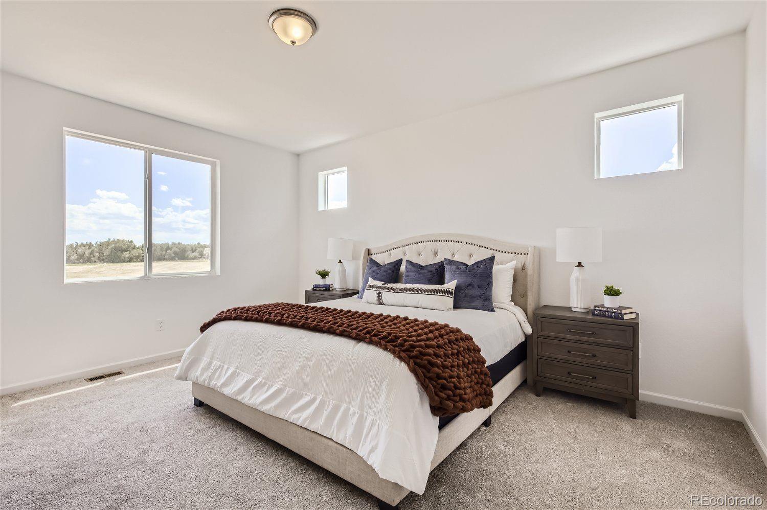 MLS Image #10 for 13708  daffodil point,parker, Colorado