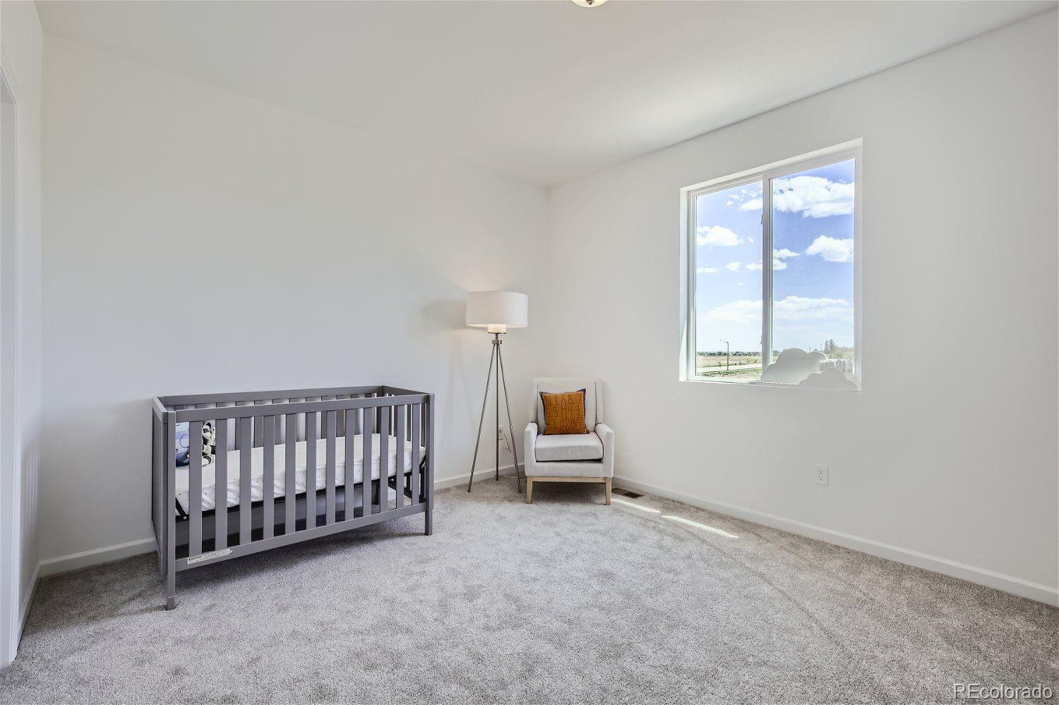 MLS Image #12 for 13708  daffodil point,parker, Colorado