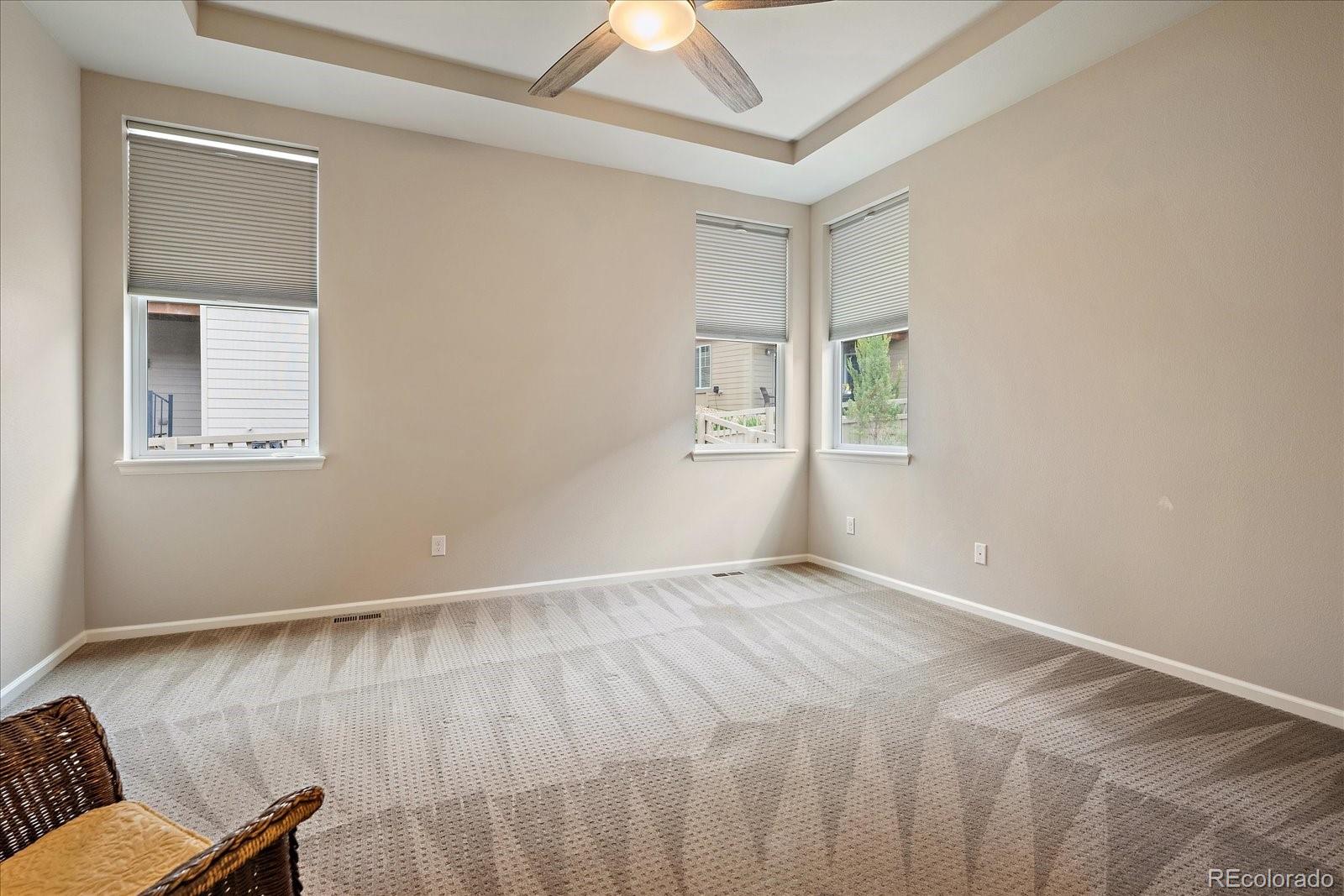 MLS Image #18 for 3336  goodyear street,castle rock, Colorado
