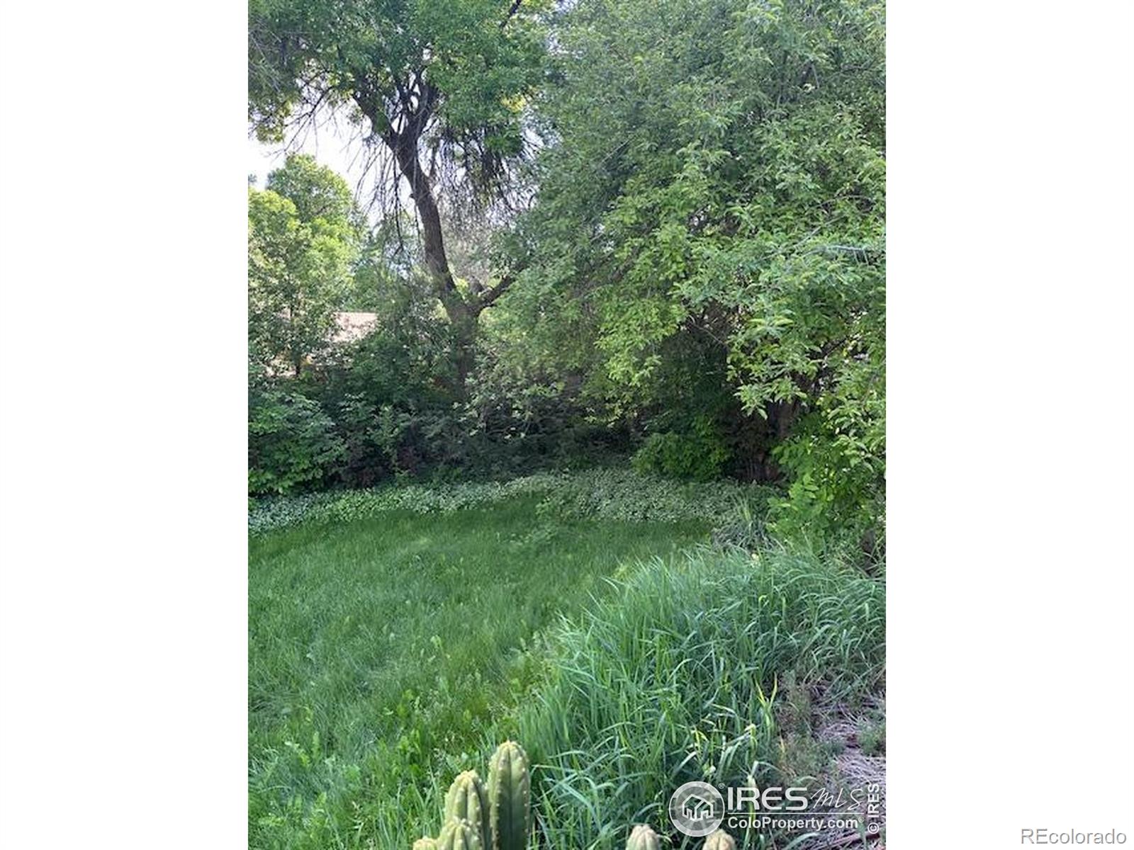 MLS Image #2 for 2028  bennington circle,fort collins, Colorado