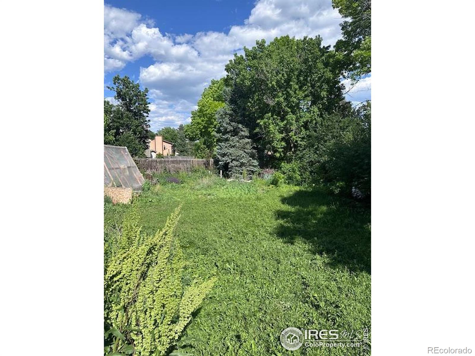 MLS Image #5 for 2028  bennington circle,fort collins, Colorado