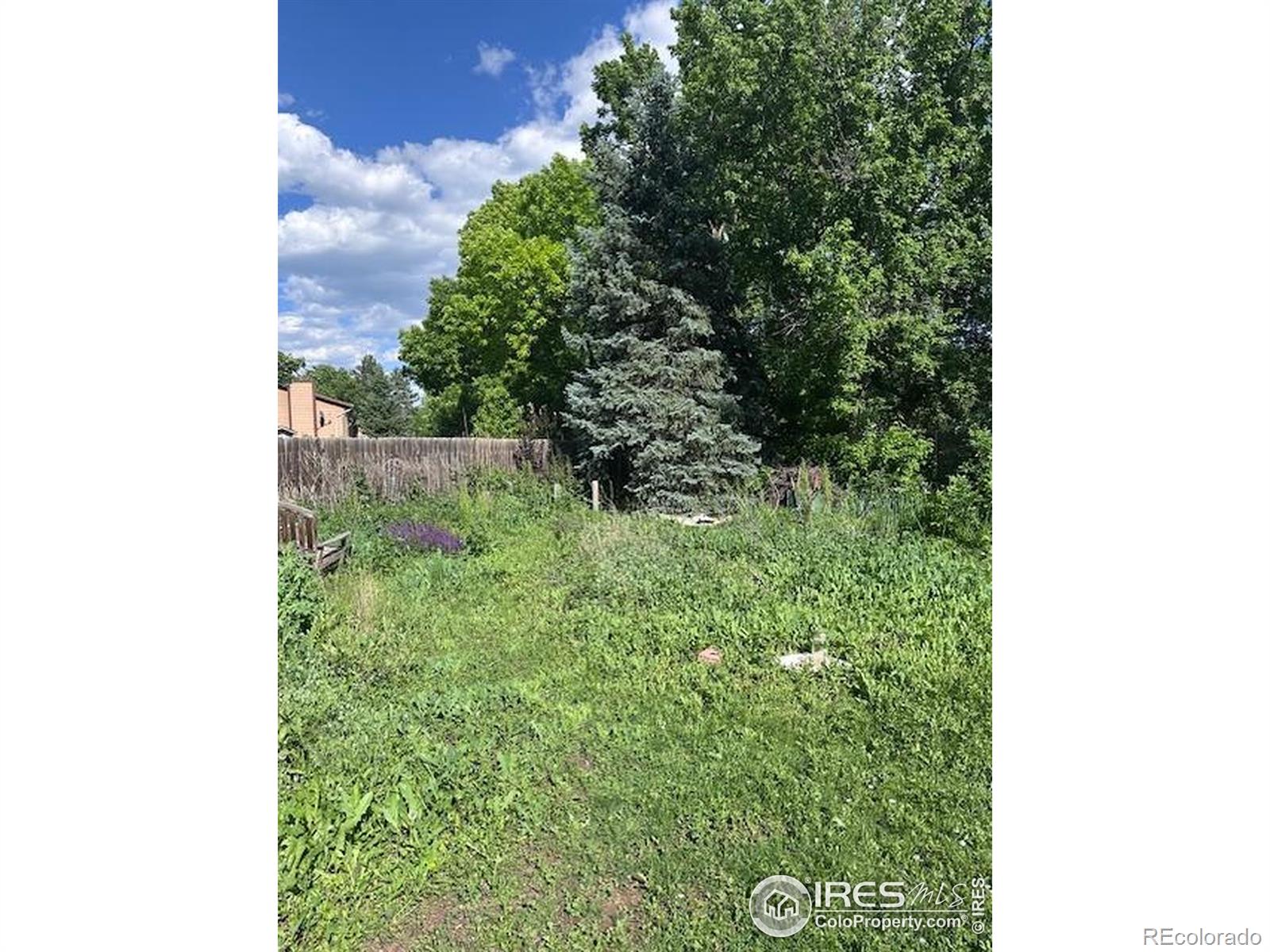 MLS Image #6 for 2028  bennington circle,fort collins, Colorado