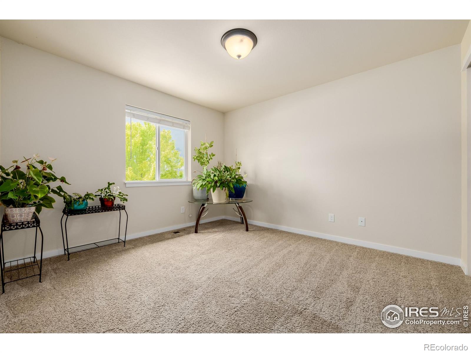 MLS Image #16 for 484  wind river drive,windsor, Colorado